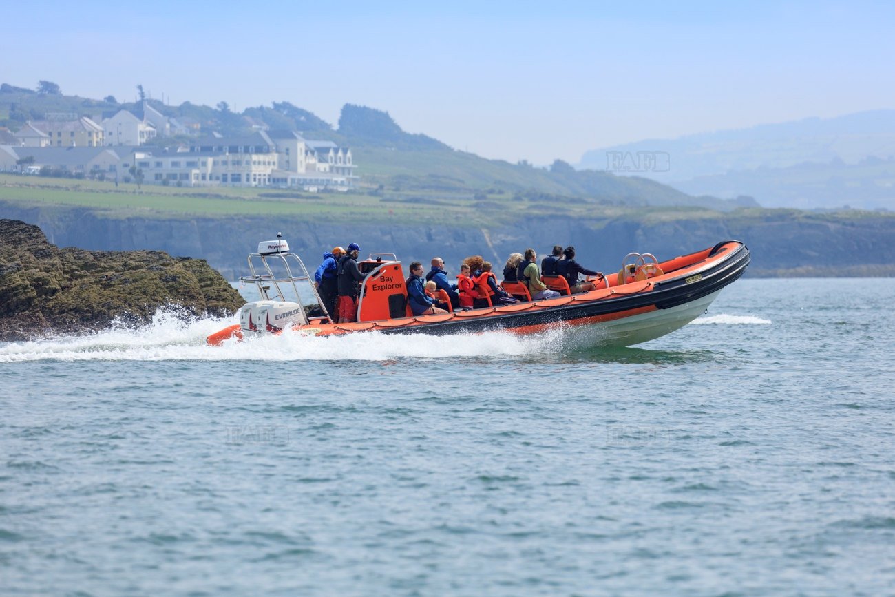 Large picture for advert 108090