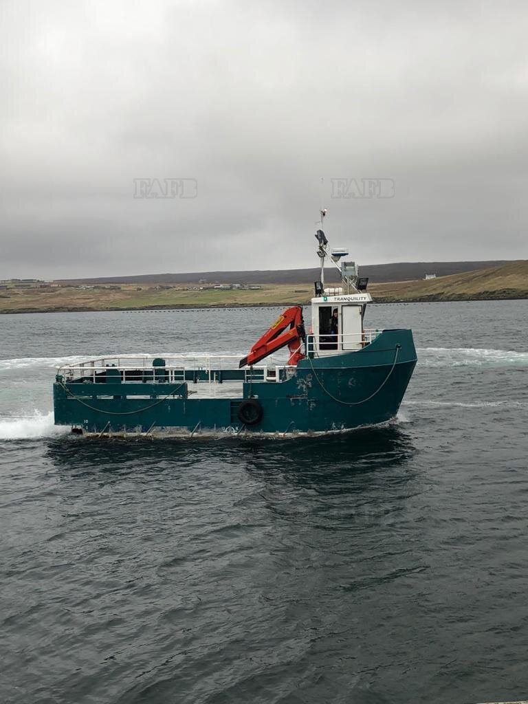 Large picture for advert 115490
