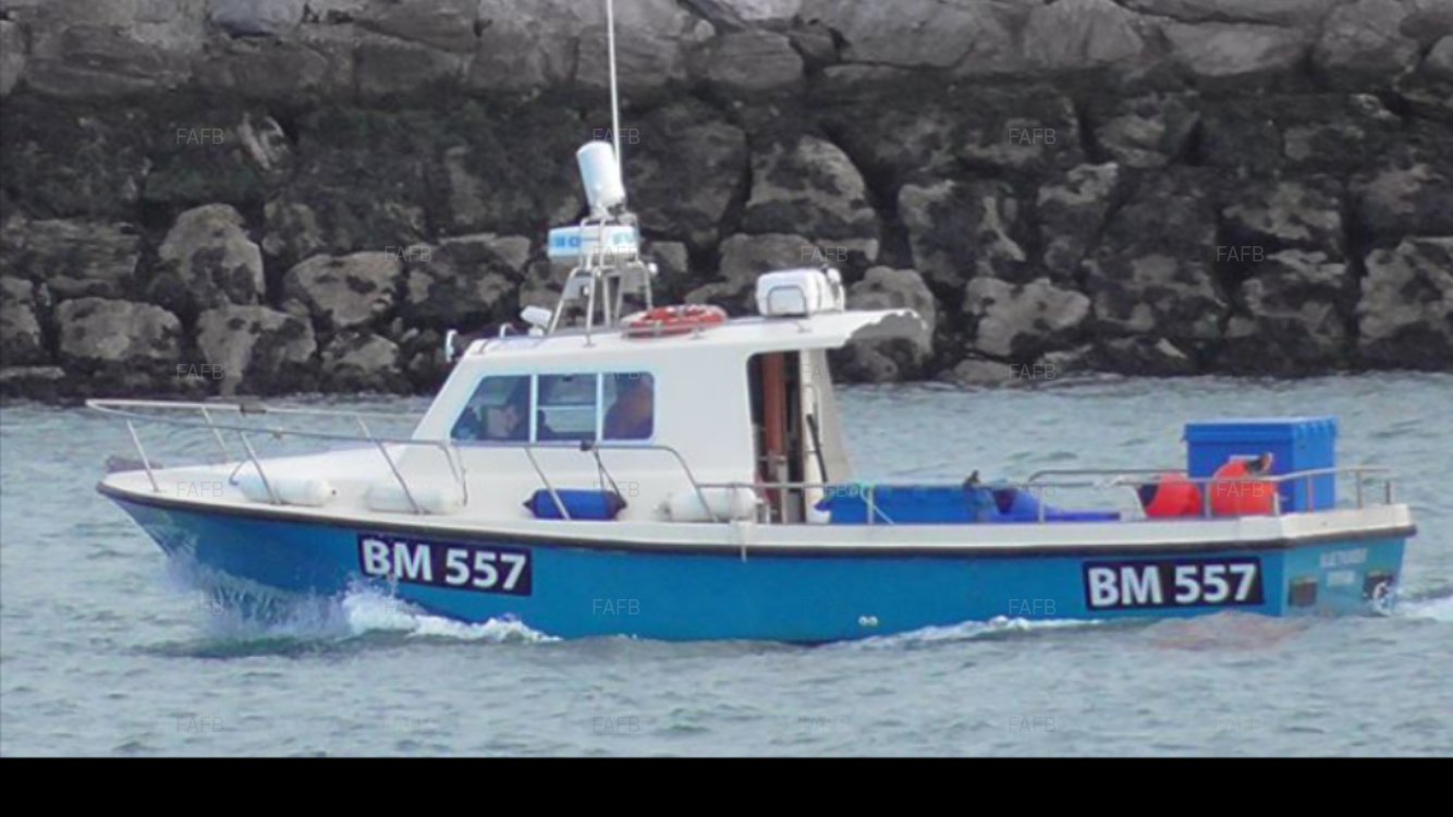 Large picture for advert 100840