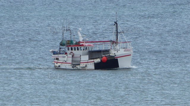 Large picture for advert 106840