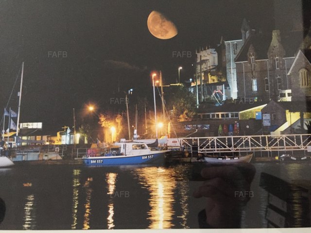 Large picture for advert 100840