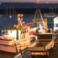 Extra picture for advert 106840