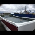 Extra picture for advert 114290