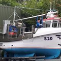 Extra picture for advert 106590