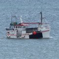 Extra picture for advert 106840
