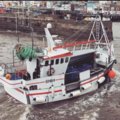 Extra picture for advert 106840