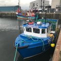 Extra picture for advert 105340